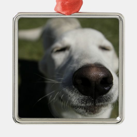 Santa Fe, New Mexico Metalen Ornament (Voorkant)