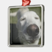 Santa Fe, New Mexico Metalen Ornament (Links)