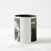 Santa Fe, New Mexico Mok (Midden)