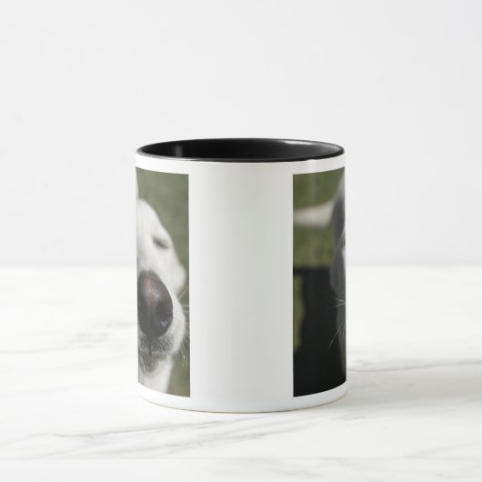 Santa Fe, New Mexico Mok (Midden)