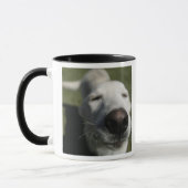 Santa Fe, New Mexico Mok (Links)