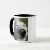 Santa Fe, New Mexico Mok (Voorkant links)