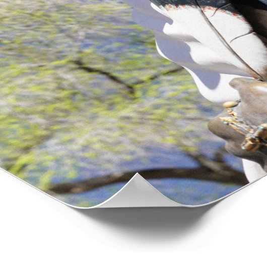 Santa Fe New Mexico Native American Statue Poster (Hoek)