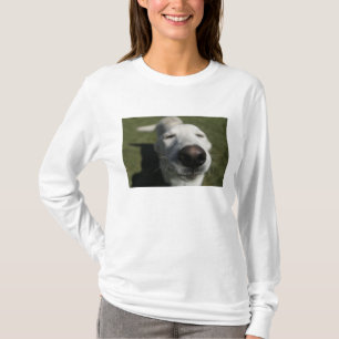 Santa Fe, New Mexico T-shirt