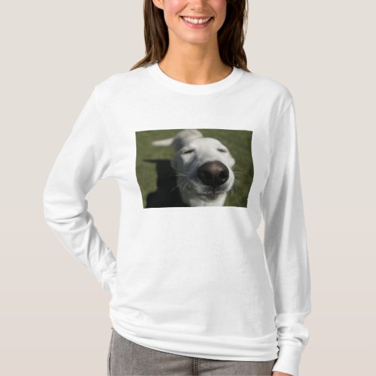 Santa Fe, New Mexico T-shirt (Voorkant)