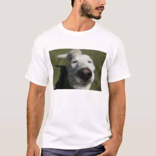 Santa Fe, New Mexico T-shirt