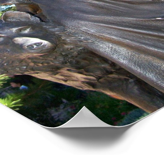 Santa Fe NM St. Francis Cathedral-standbeeld Poster (Hoek)