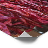 Santa Fe Red Chili Ristras New Mexico Poster (Hoek)