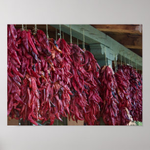 Santa Fe Red Chili Ristras New Mexico Poster