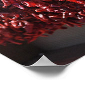 Santa Fe Red Chili Ristras Nieuw Mexico Poster (Hoek)