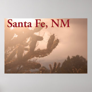 Santa Fe Serenity: Cholla Cactus bij Sunset Poster