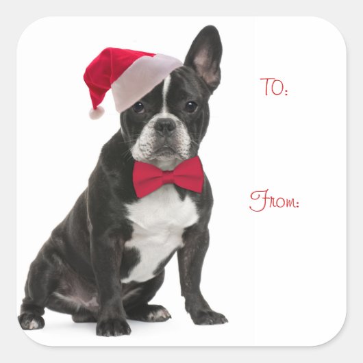 Santa Frenchie Cadeau Labels (Voorkant)