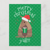 Santa Gift Giving Armadillo Texas Briefkaart (Voorkant)