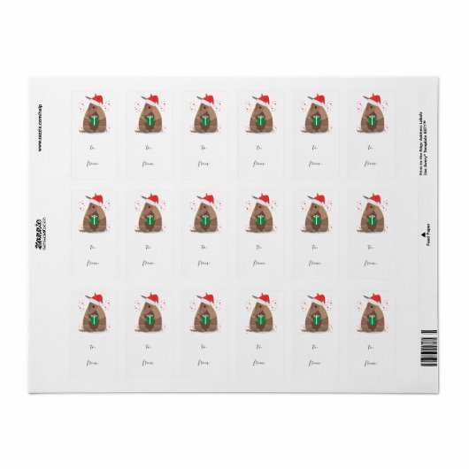 Santa Gift Giving Armadillo Texas Gift Label Stick (Full Sheet)