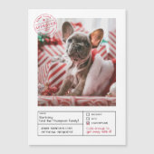 Santa Goedgekeurd Ondeugend of Nice Formulier Foto Magnetische Uitnodiging (Voorkant)