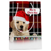 Santa Golden Retriever op speldenmager Medium Cadeauzakje (Voorkant)