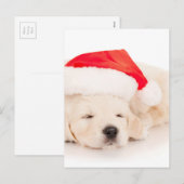 Santa Golden Retriever Puppy Feestdagenkaart (Voorkant / Achterkant)