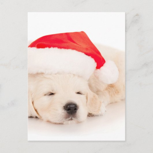 Santa Golden Retriever Puppy Feestdagenkaart (Voorkant)