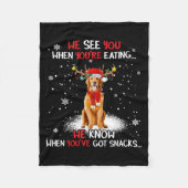 Santa Golden Retriever Reindeer Light Christmas Pa Fleece Deken (Voorkant)