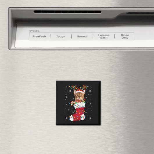 Santa Hat A Magneet (Insitu (Vaatwasser))