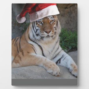 Santa Hat Bengal Tiger Fotoplaat