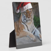 Santa Hat Bengal Tiger Fotoplaat (Zijkant)