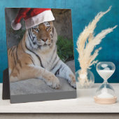 Santa Hat Bengal Tiger Fotoplaat (Zijkant)