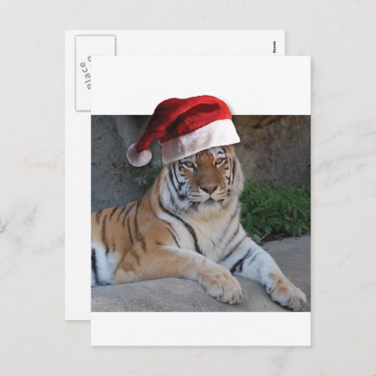 Santa Hat Bengalen Feestdagenkaart (Voorkant / Achterkant)