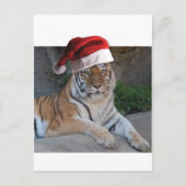 Santa Hat Bengalen Feestdagenkaart (Voorkant)