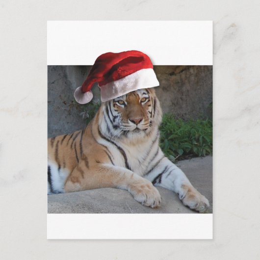 Santa Hat Bengalen Feestdagenkaart (Voorkant)
