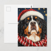 Santa Hat Berner Sennenhond Blauw Goud Sterren Briefkaart (Voorkant / Achterkant)