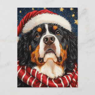 Santa Hat Berner Sennenhond Blauw Goud Sterren Briefkaart