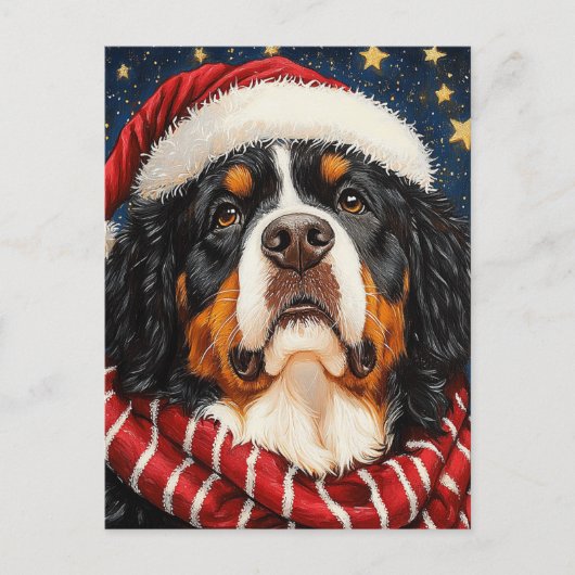 Santa Hat Berner Sennenhond Blauw Goud Sterren Briefkaart (Voorkant)