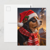 Santa Hat Berner Sennenhond Briefkaart (Voorkant / Achterkant)