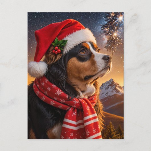 Santa Hat Berner Sennenhond Briefkaart (Voorkant)