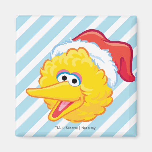 Santa Hat Big Bird Magneet (Voorkant)