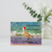 Santa Hat Bird op Tropical Beach Kerstmis Kaart (Staand voorkant)