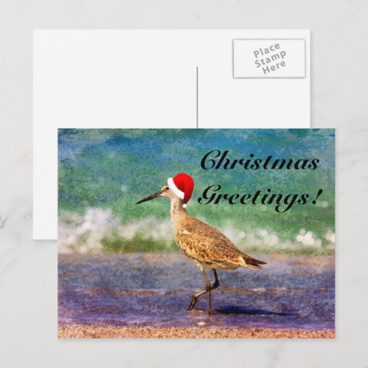 Santa Hat Bird op Tropical Beach Kerstmis Kaart (Voorkant / Achterkant)