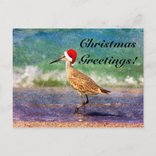 Santa Hat Bird op Tropical Beach Kerstmis Kaart