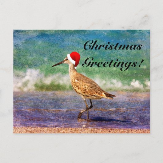 Santa Hat Bird op Tropical Beach Kerstmis Kaart (Voorkant)