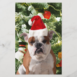 Santa Hat Bulldog Kerstboom Sneeuwman Gift Box Briefpapier