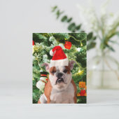 Santa Hat Bulldog Kerstboom Sneeuwman Gift Box Feestdagenkaart (Staand voorkant)