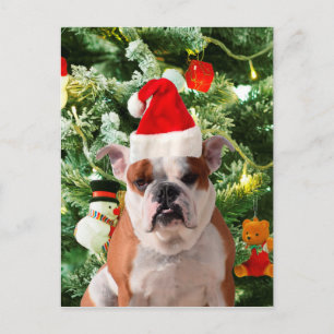 Santa Hat Bulldog Kerstboom Sneeuwman Gift Box Feestdagenkaart