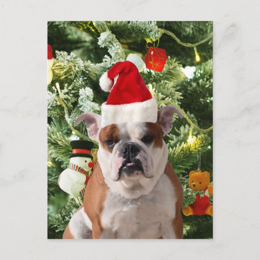 Santa Hat Bulldog Kerstboom Sneeuwman Gift Box Feestdagenkaart (Voorkant)