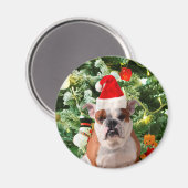 Santa Hat Bulldog Kerstboom Sneeuwman Gift Box Magneet (Voorkant / Achterkant)