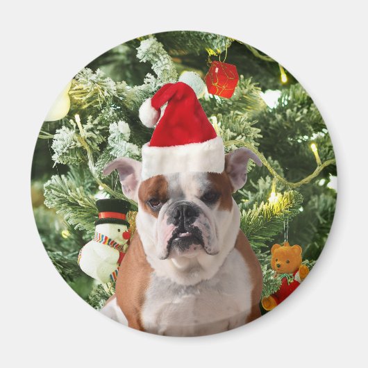 Santa Hat Bulldog Kerstboom Sneeuwman Gift Box Magneet (Voorkant)