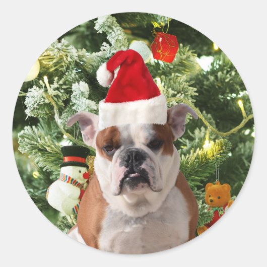 Santa Hat Bulldog Kerstboom Sneeuwman Gift Box Ronde Sticker (Voorkant)