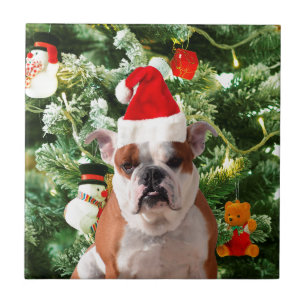 Santa Hat Bulldog Kerstboom Sneeuwman Gift Box Tegeltje