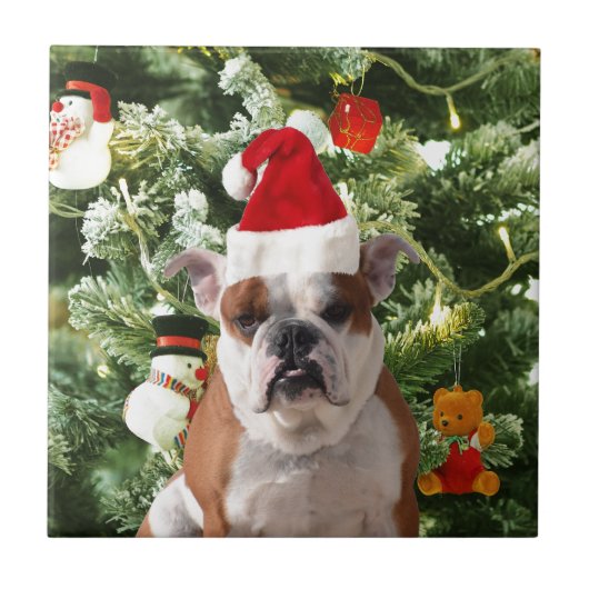 Santa Hat Bulldog Kerstboom Sneeuwman Gift Box Tegeltje (Voorkant)