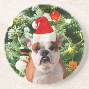Santa Hat Bulldog Kerstboom Sneeuwman Gift Box Zandsteen Onderzetter